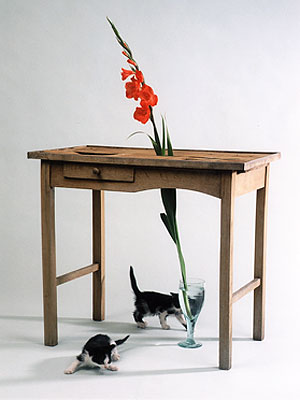 Venus – Elisabeth Rietmeyer